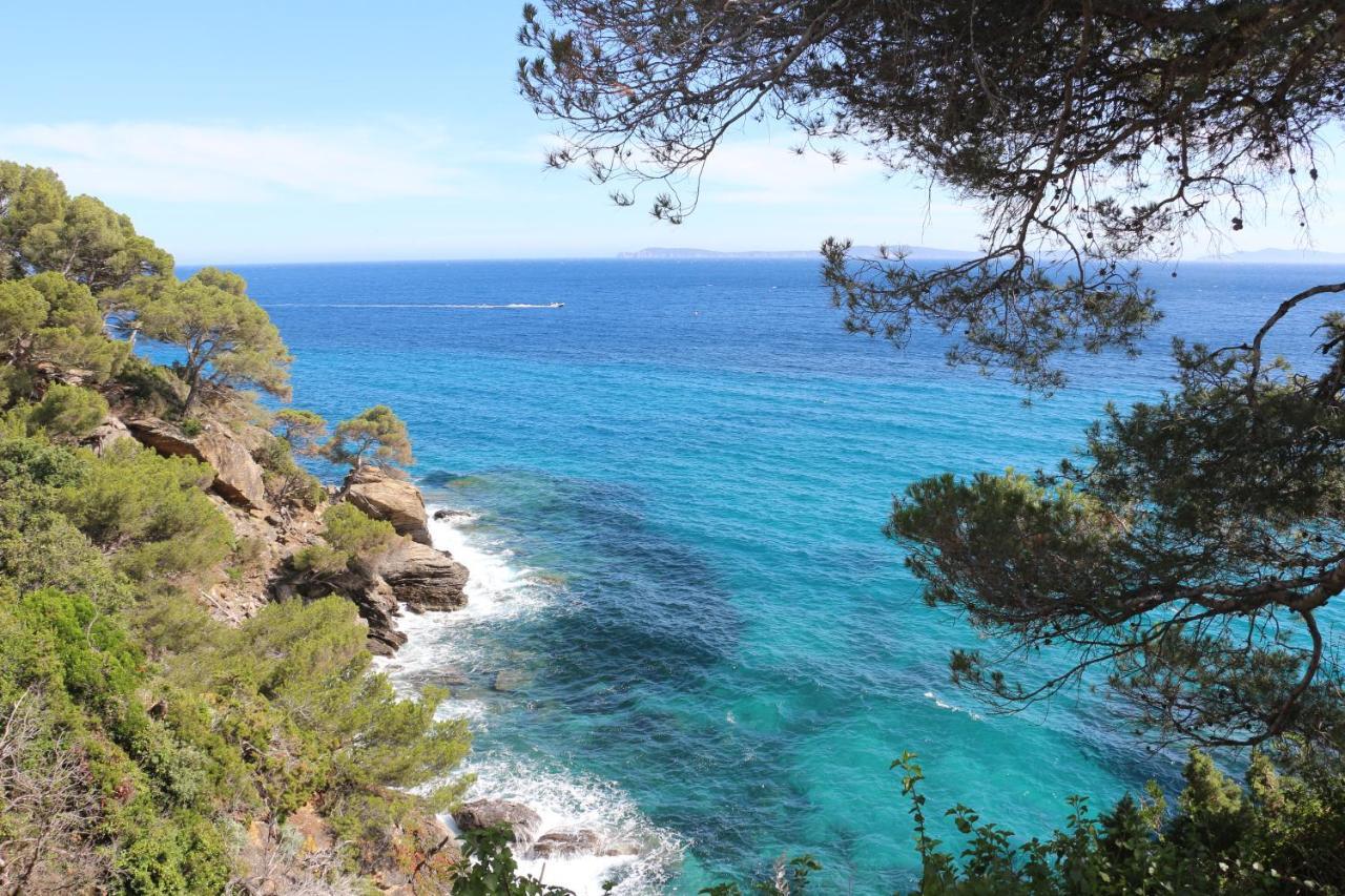 T2 Terrasse, Bormes Les Mimosas La Faviere, 5 Pers, 5 Mn A Pieds Des Plages Et Commerces Eksteriør billede