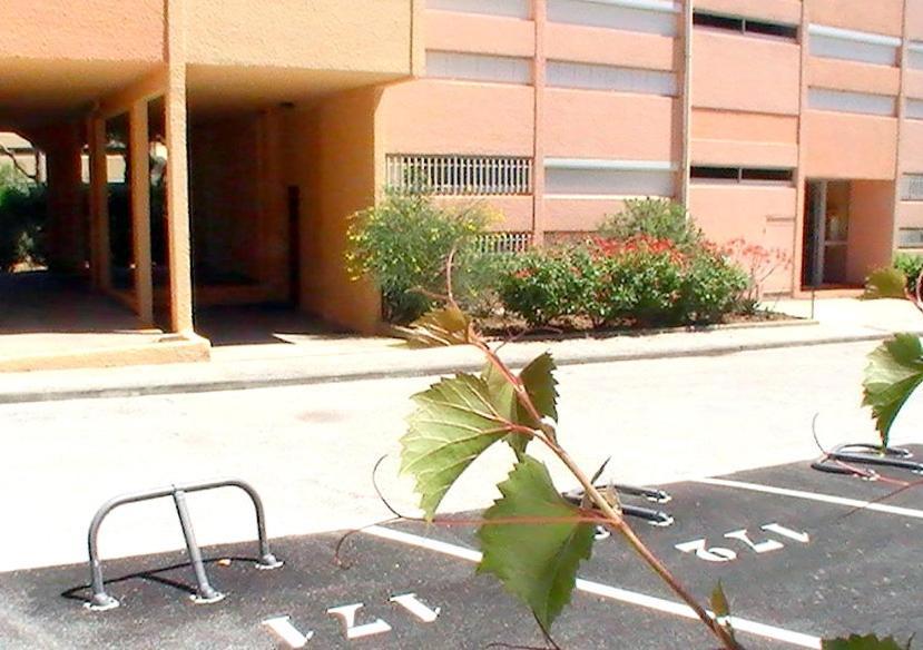 T2 Terrasse, Bormes Les Mimosas La Faviere, 5 Pers, 5 Mn A Pieds Des Plages Et Commerces Eksteriør billede