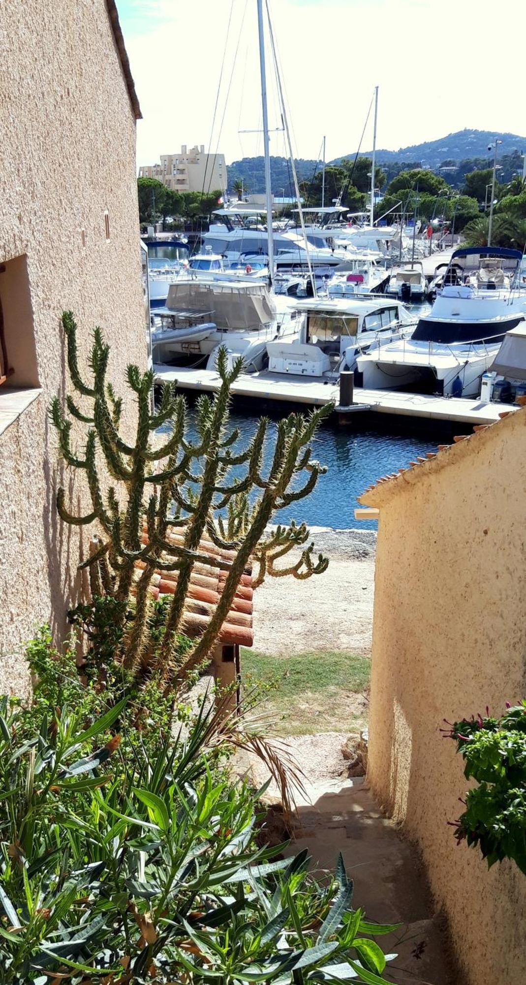 T2 Terrasse, Bormes Les Mimosas La Faviere, 5 Pers, 5 Mn A Pieds Des Plages Et Commerces Eksteriør billede